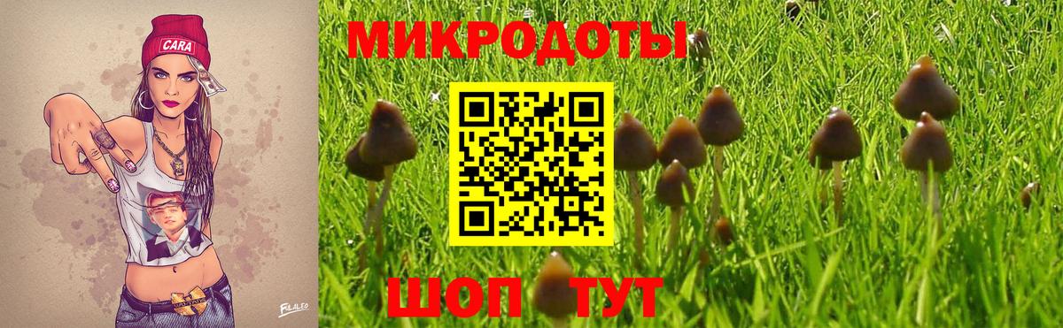 Псилоцибиновые грибы ЛСД  Псилоцибиновые грибы Psilocybe  Вход с VPN  Кудрово 