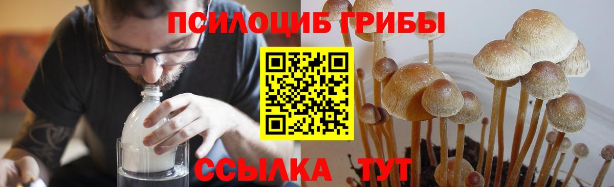 Псилоцибиновые грибы Magic Shrooms Кудрово